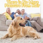 Pet Hair Removal Glove for Cats & Dogs, 2025 Newly Upgraded Five-Finger Electrostatic Pet Hair Gloves, Reusable Pet Hair Remover Tool for Clothing, Couch, Carpet, Cat Grooming Gloves-1 PCS